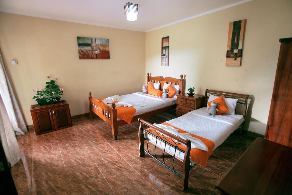 Yes Paradise Канді Номер фото